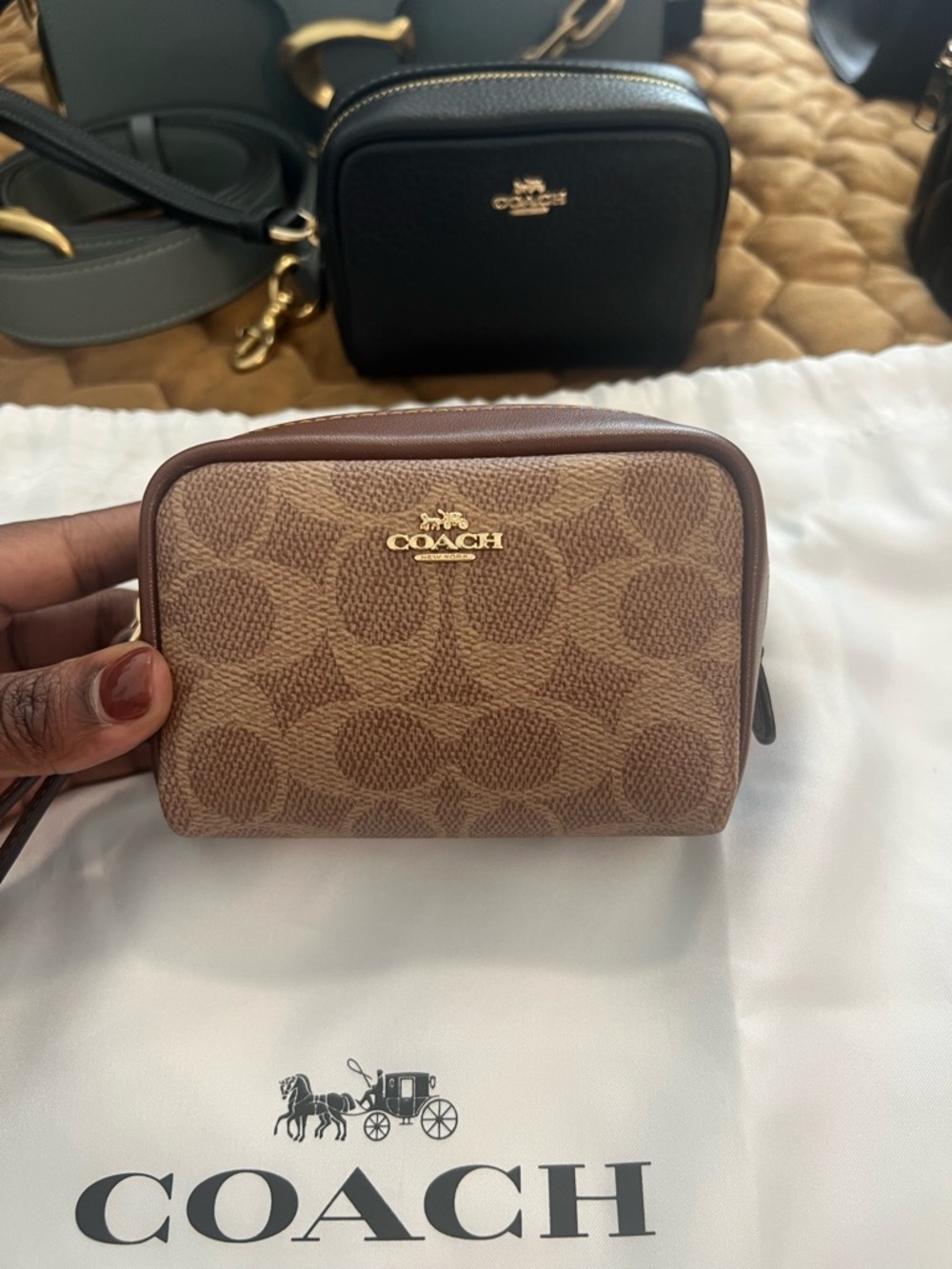 Coach Signature Canvas Pouch Wristlet